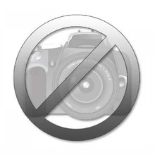 Шлейф / плата на вибромотор для Apple iPhone 6S Plus